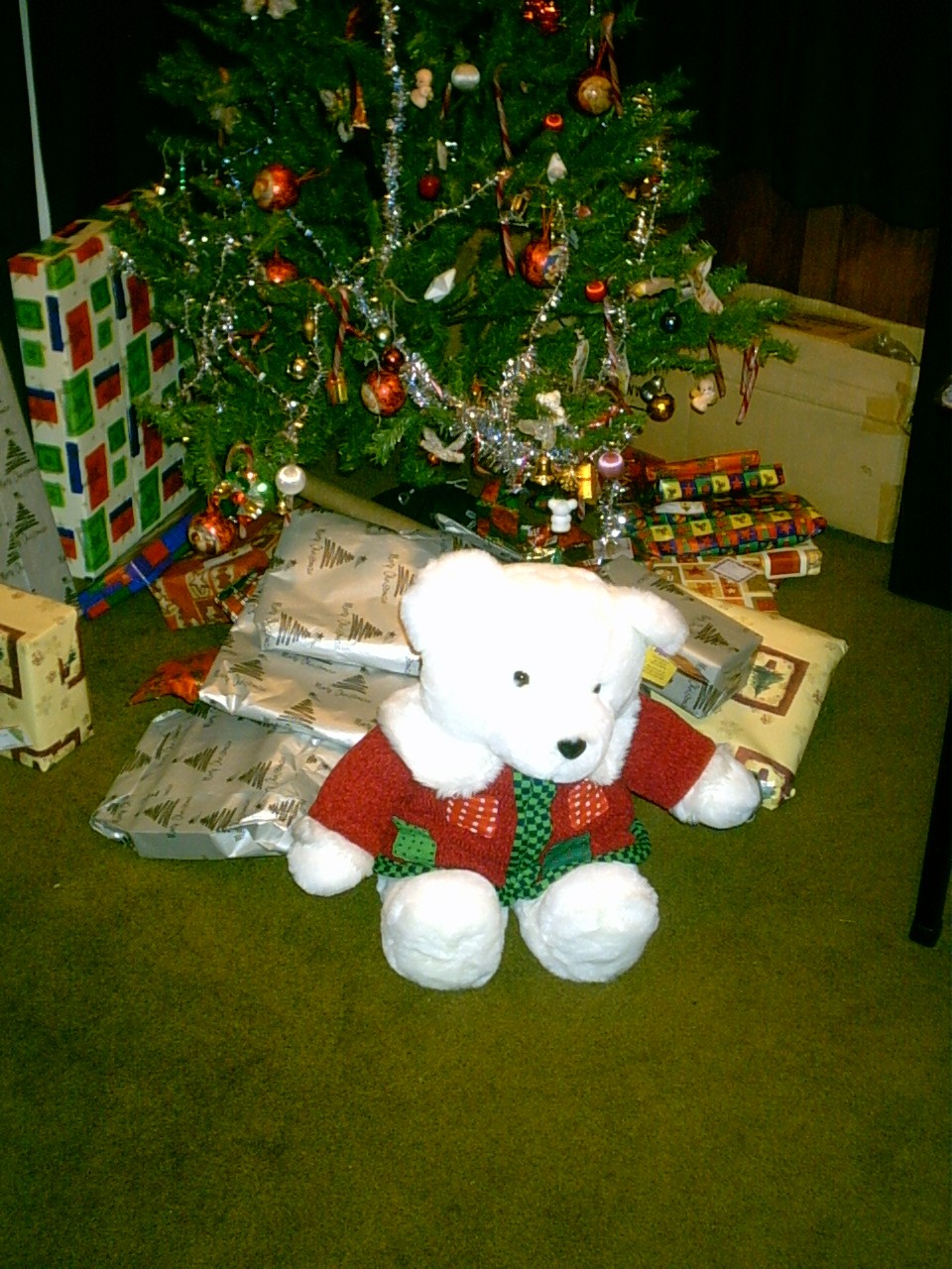 2004_Christmas/Perth Christmas Tree 2.jpg